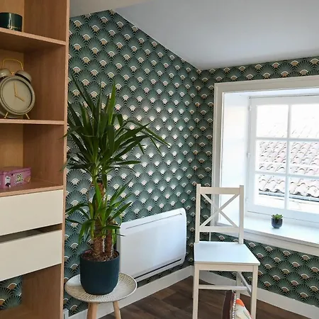 L'orchidée #hyper-centre #marché Couvert * Cognac