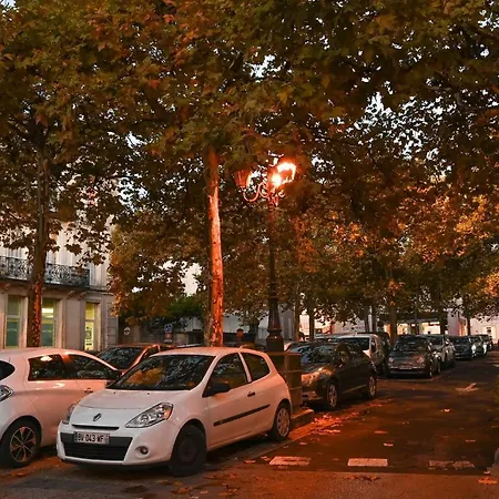 L'orchidée #hyper-centre #marché Couvert * Cognac